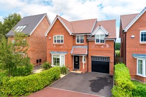 Photo 22- click for photo gallery